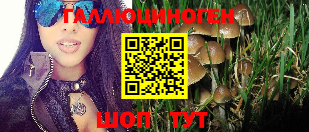 Псилоцибиновые грибы Cubensis Оренбург