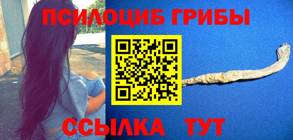 Оренбург  Псилоцибиновые грибы Magic Shrooms  купить наркотик  Вход с VPN  Галлюциногенные грибы MAGIC MUSHROOMS 